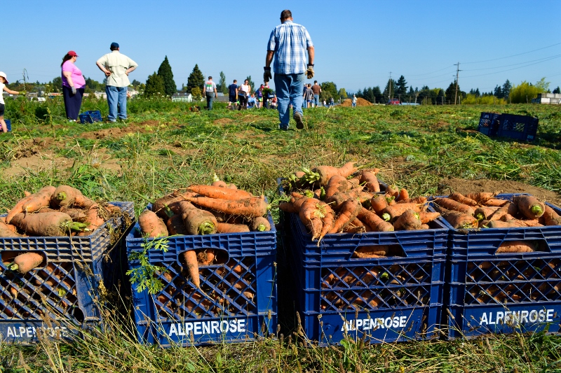 Farm to Food Bank